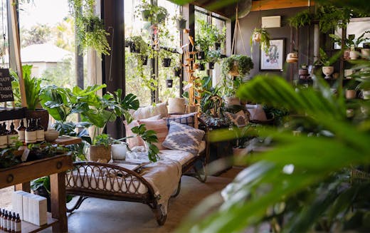 14 Of The Best Shops In Brisbane To Feed Your Plant Obsession