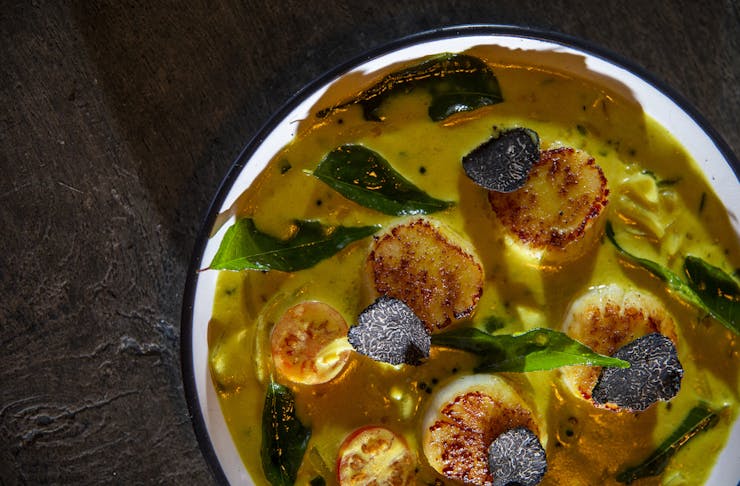 Seared scallops in yellow curry sauce with shaved truffle on top