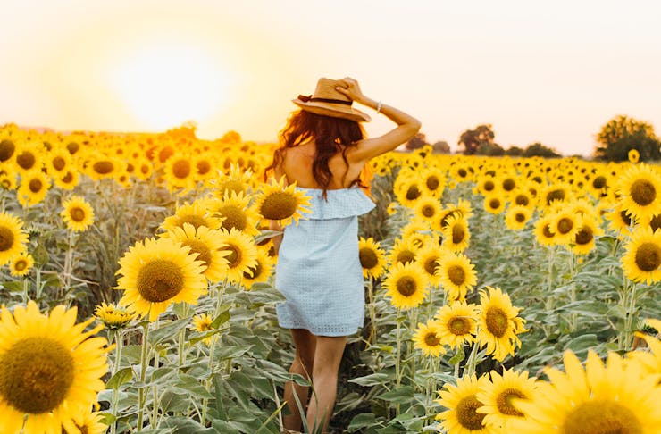 a woman in a field of sunflowers
