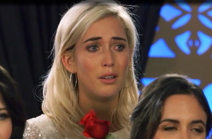 the bachelor nz round up
