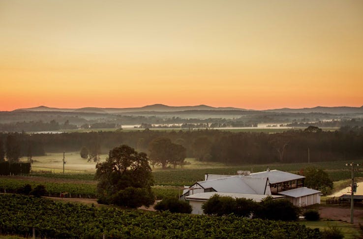 Sip Your Way Through This Guide To The Hunter Valley's Best Hidden Gems ...