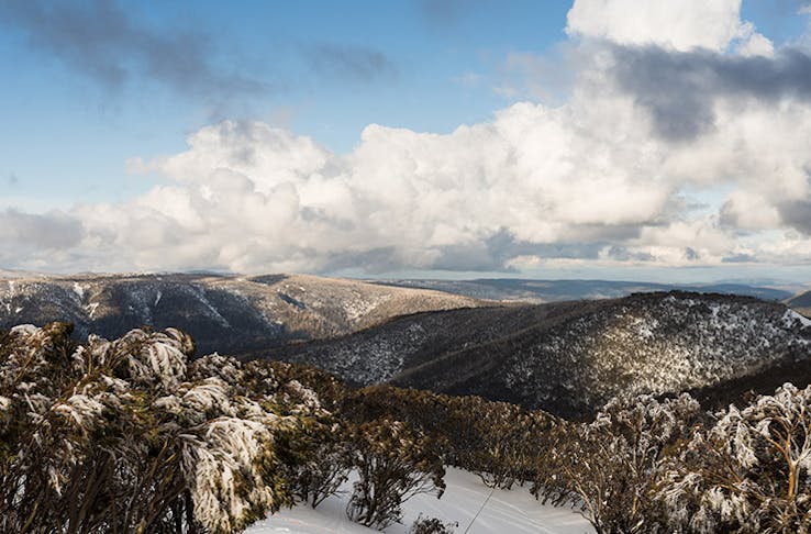 The Best Things To Do In Victoria's High Country | Urban List Melbourne