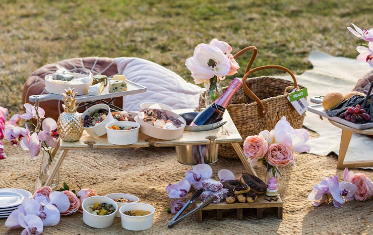 Take Your Picnics To The Next Level With These Epic Champagne-Filled