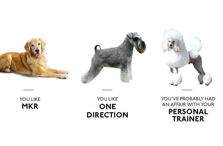 what your dog breed says about you