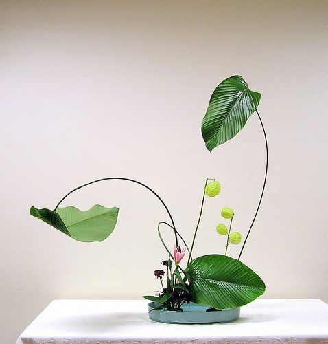 Learn The Art Of Ikebana 