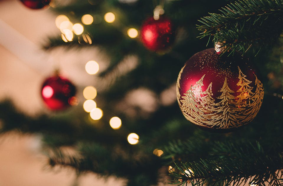 8 Of The Best Places To Buy A Real Christmas Tree In Auckland For 2021 Urban List Nz