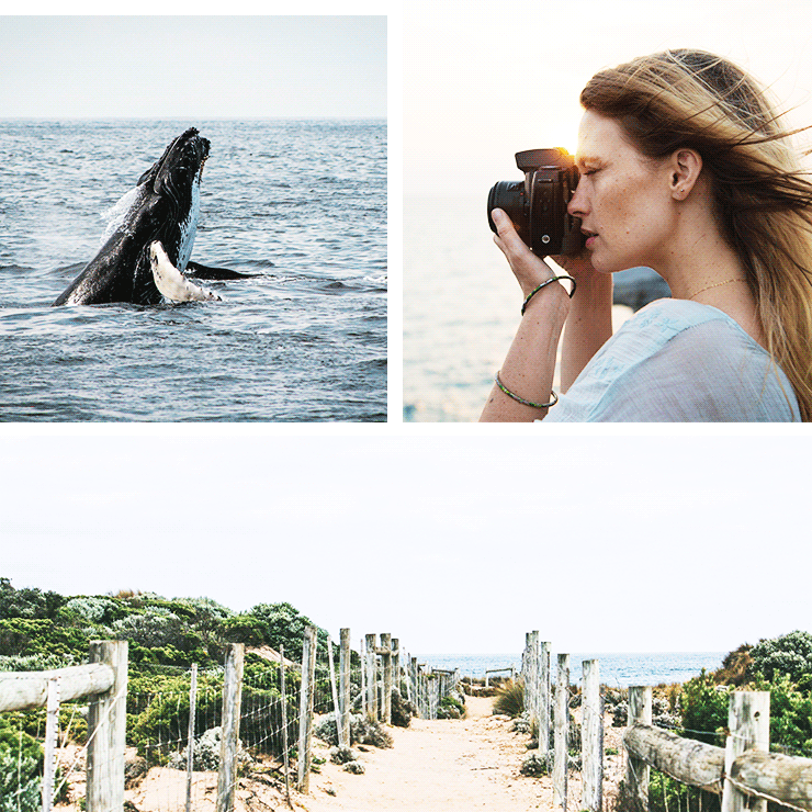Whale Watching Perth
