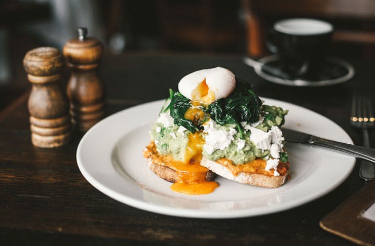 Best Brunch Spots Sydney With A View