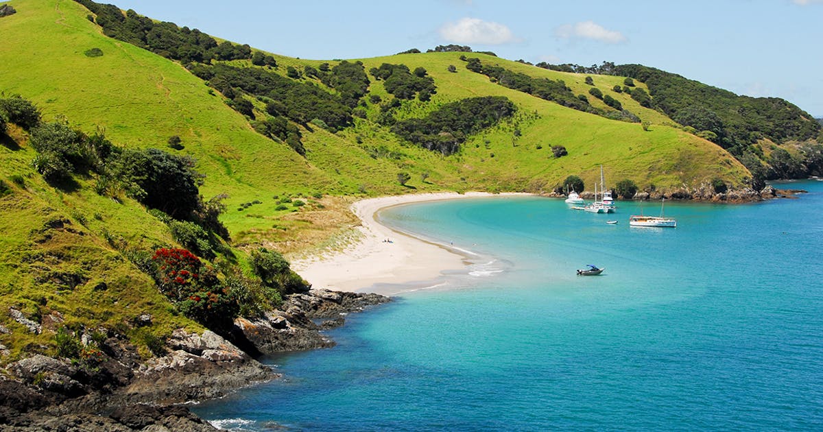 5 Of The Most Beautiful Beaches In The Bay Of Islands For You To Dig Your  Toes In The Sand | Urban List