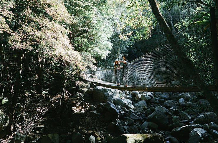 Soak Up Some Nature On 10 Of The Most Breathtaking Bushwalks Just 1