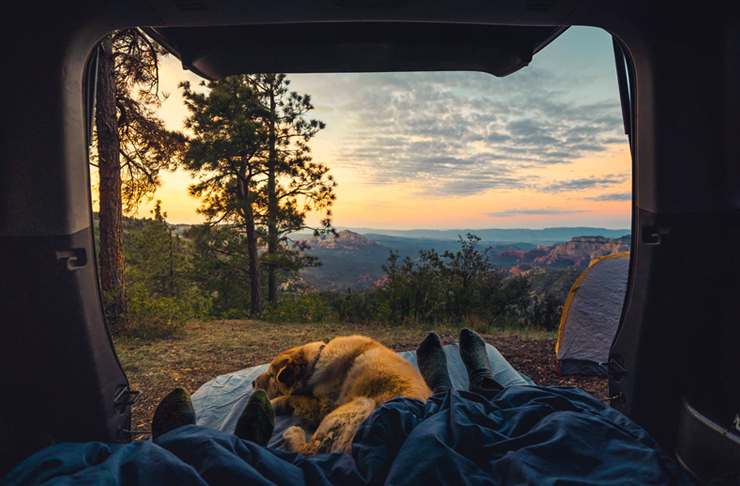best places to camp with dogs