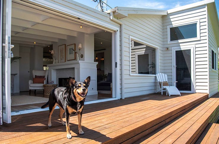 Round Up The Pack, Here Are 13 Of The Best DogFriendly