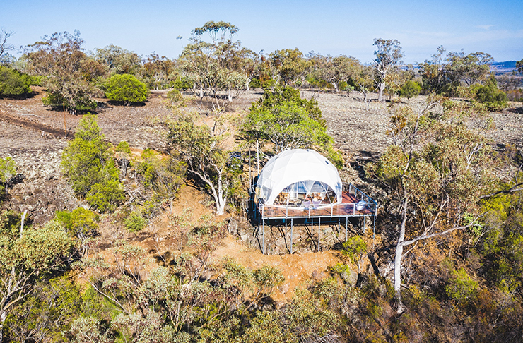 glamping tent in the middle of the bush
