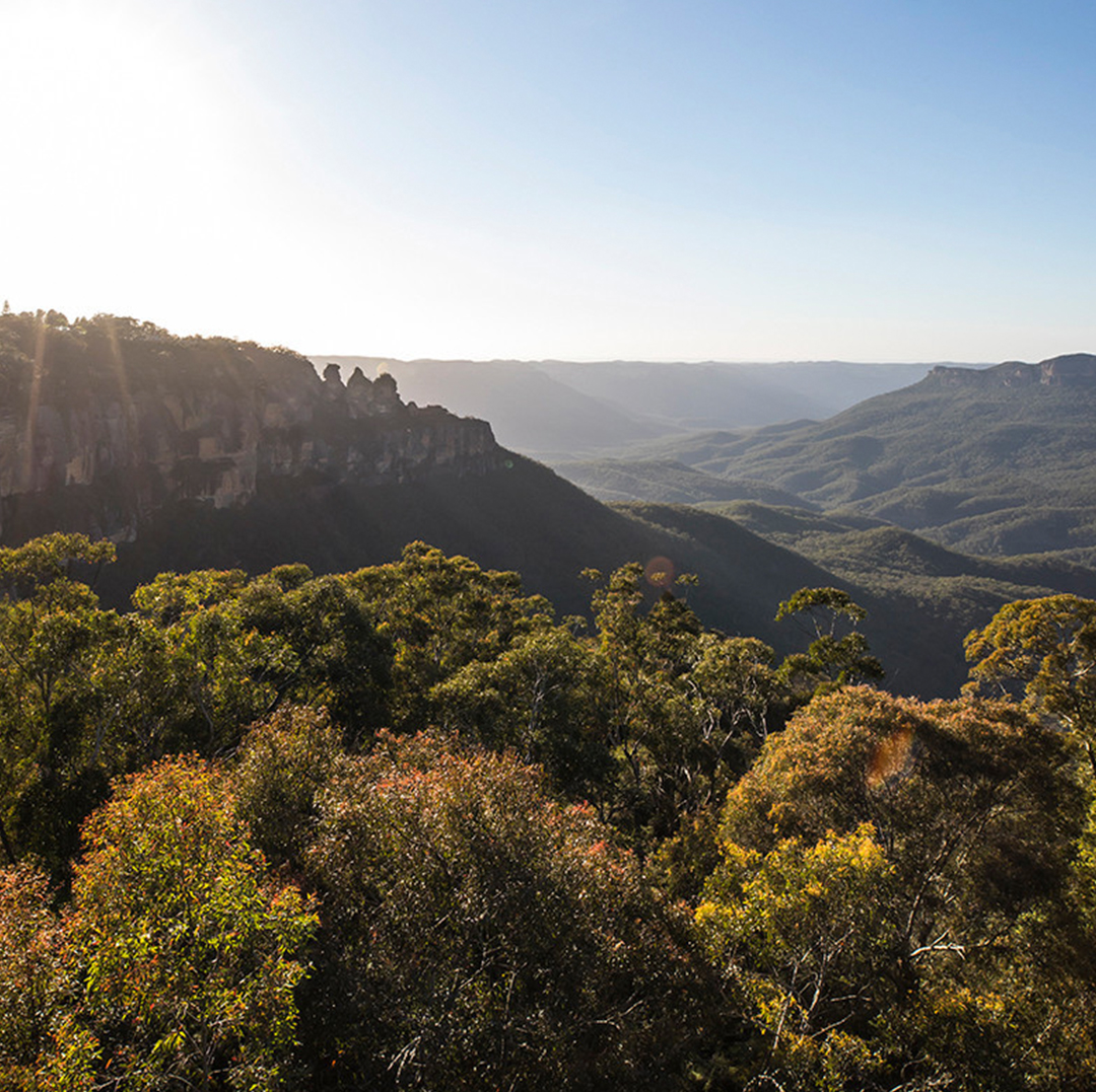 blue mountains national park, a panoramic view of the valley