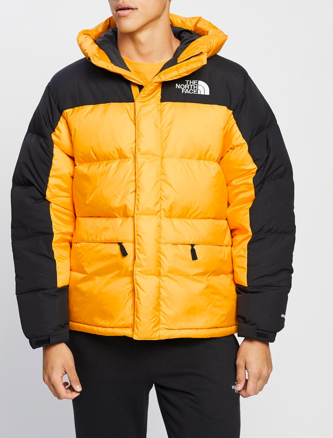 north face himalayan down parker