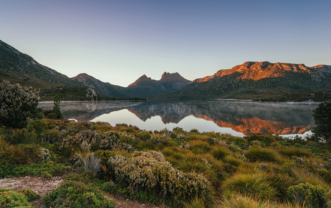 The evening sky reflects off Dove Lake at Cradle Mountain.