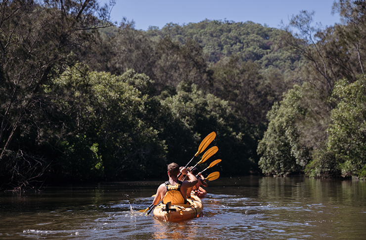 two people kayaking down river