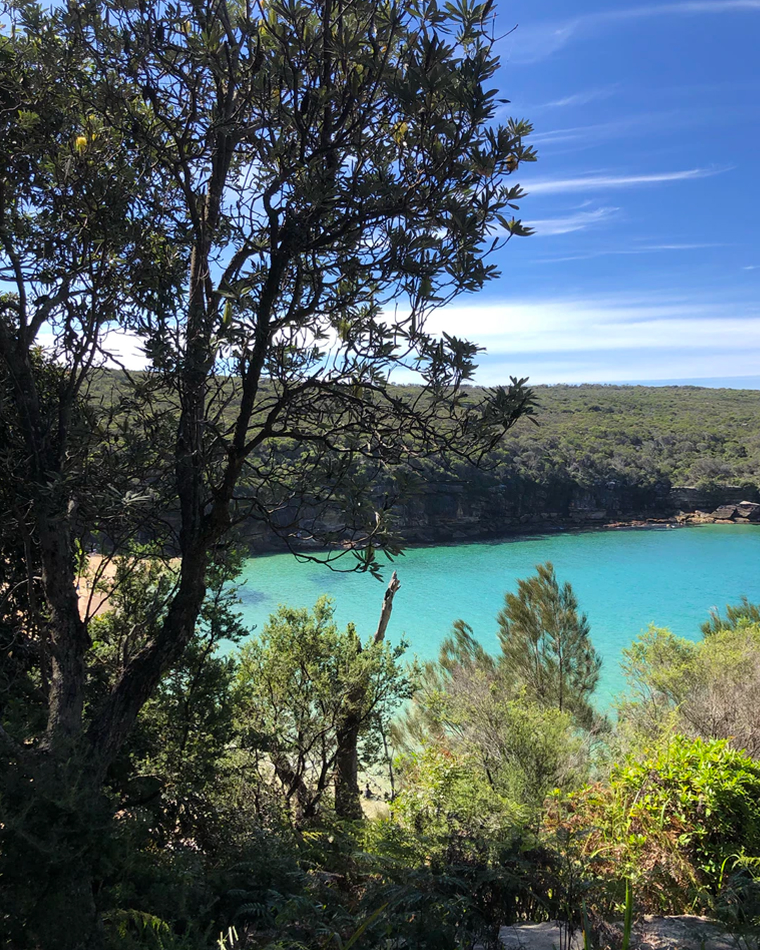 View from royal national park near Sydney of below beach with bright blue water
