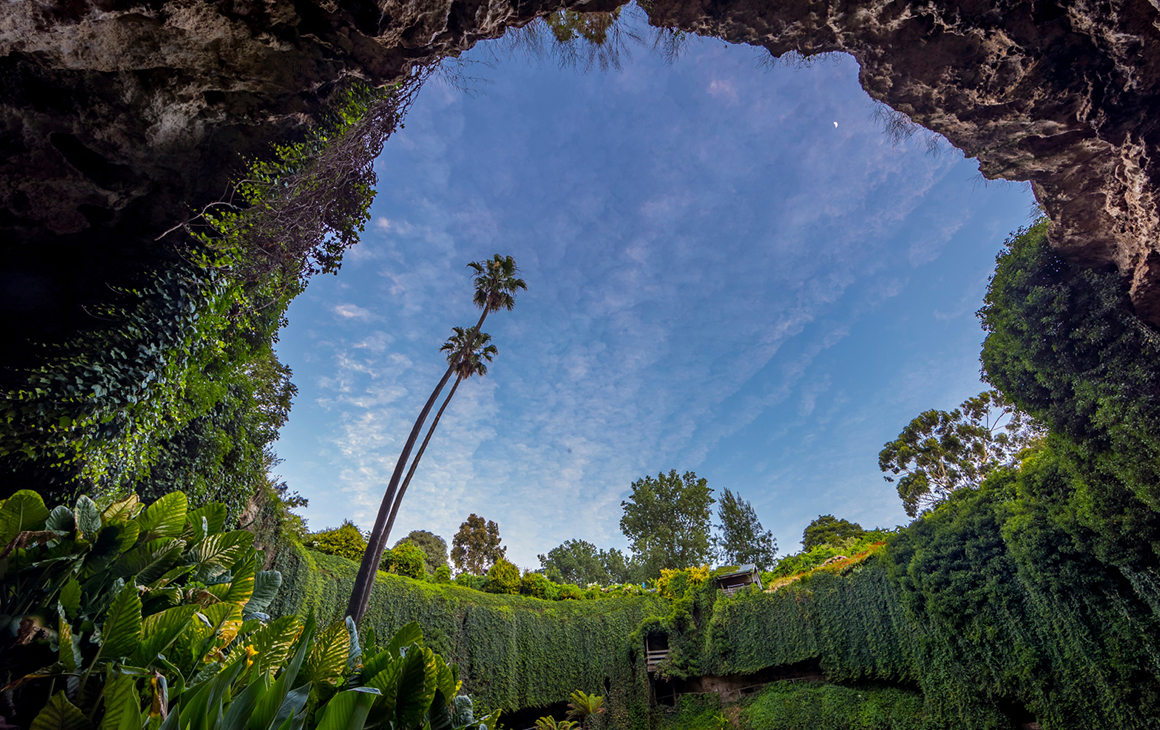 Umpherston Sinkhole in the day, full of flowers and lush greenery