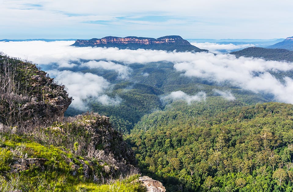 7 Stunning Natural Places You Didn't Realise Were In | Urban Sydney