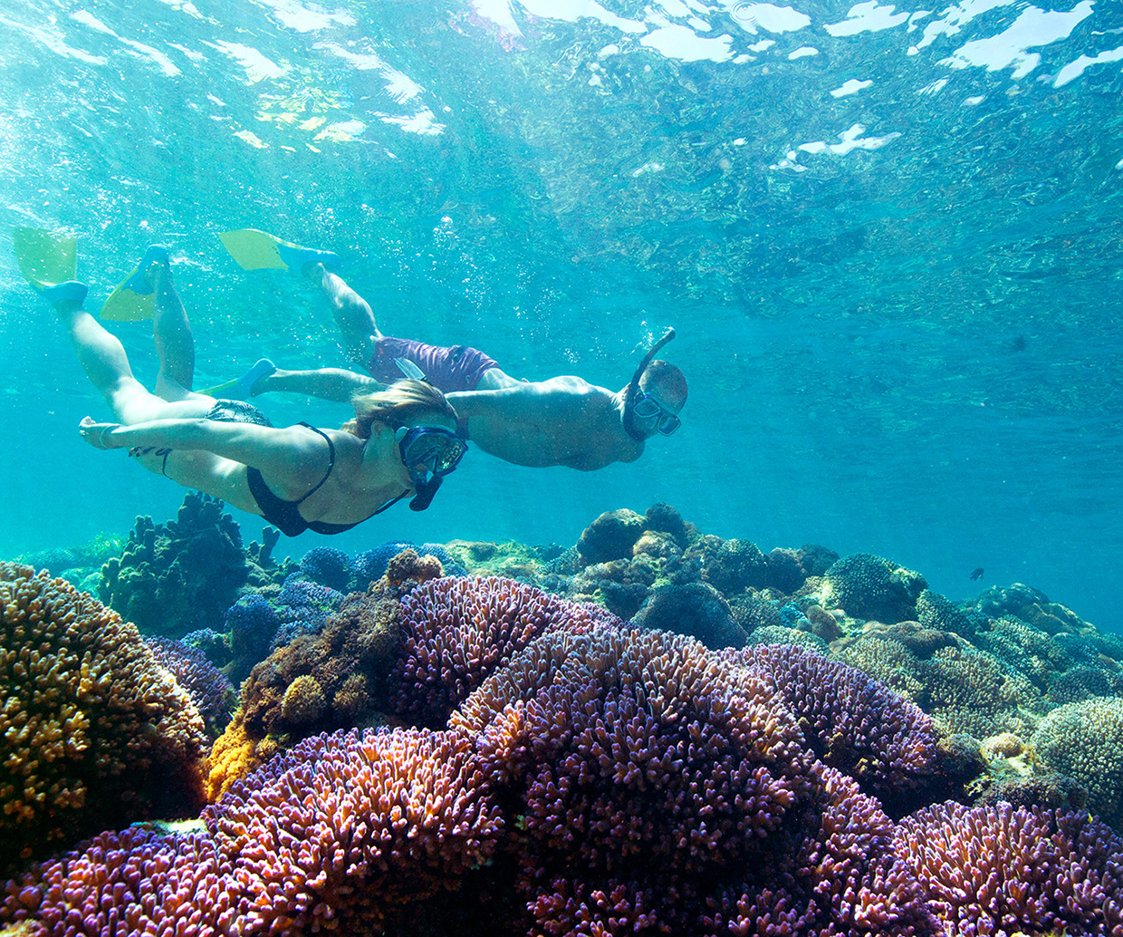 two people snorkelling